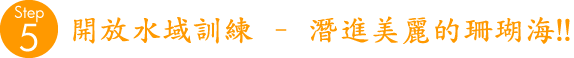 終於可以到海中, 在珊瑚海潛水!!
