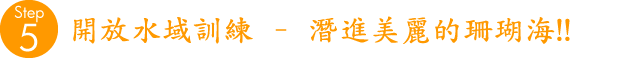終於可以到海中, 在珊瑚海潛水!!
